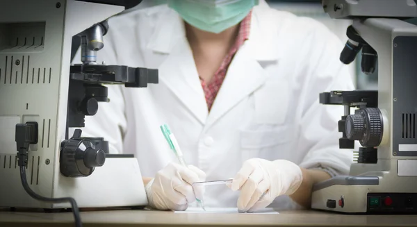 bilim adamı slayt sol elinde tutun ve pi üzerinde bir şey yazmak