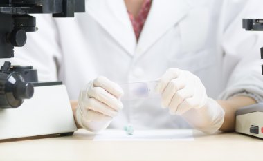 nitril eldiven elinde iki slayt arasında iki micros elinde tutmak