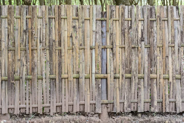 Bamboo fence background — Stock Photo, Image