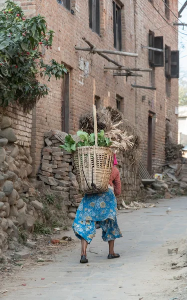 Nepali woman in national clothes with baskets on walk — Stock Photo, Image