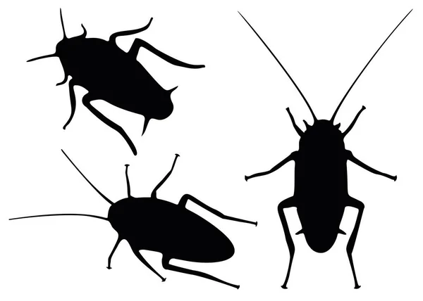 Cockroaches Set Pests Parasites — Stock Vector