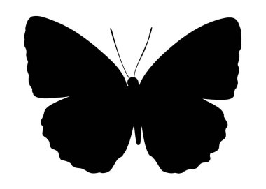 Bıldırcın sette. Vektör resmi.