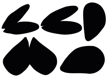 Midye kabuğu seti. Nehir ve deniz yumuşakçaları kabukları.