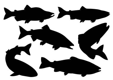 Pembe somon balığı. Vektör resmi.