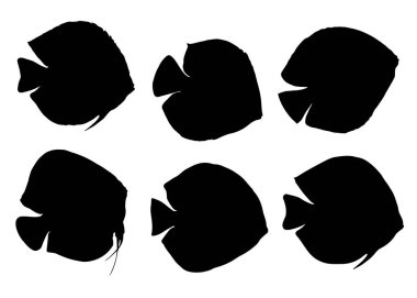 Akvaryum balığı diski. Vektör resmi.