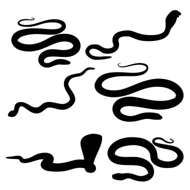 Farklı türde yılanlar. Zehirli kobra yılanları, yılanlar ve büyük tehlikeli pitonlar ve boa yılanları. Vektör ima