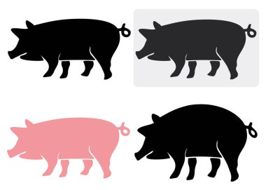 Domuz logosu ve amblem seti.