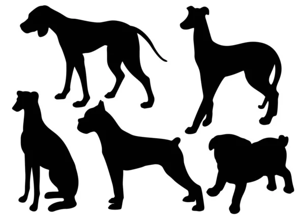 Chiens Dans Différentes Poses Dans Ensemble Image Vectorielle — Image vectorielle