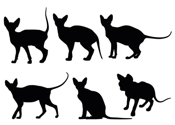Кошки Сфинксы Наборе — стоковый вектор