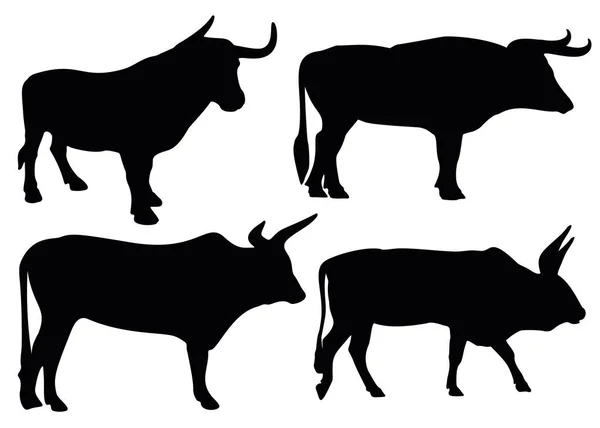 Toros Con Cuernos Set — Vector de stock