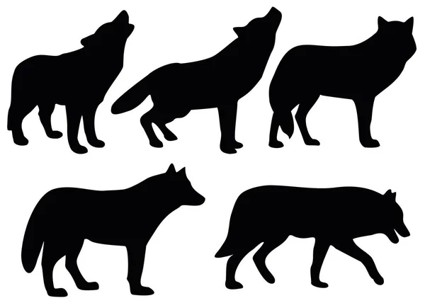 Vahşi orman kurtları sette.