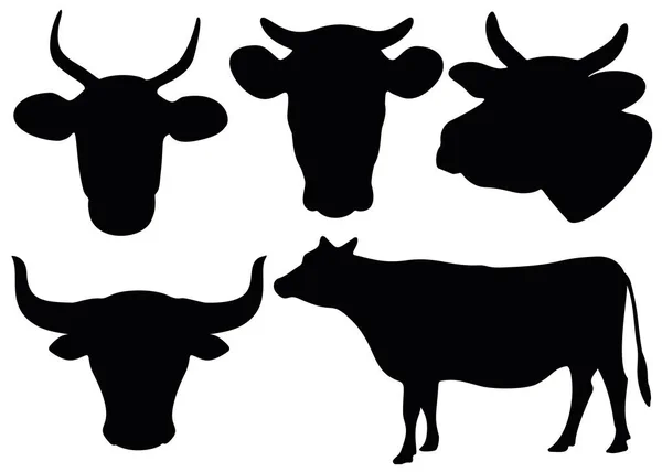 Head Cow Bull Set Full Length Cow — Stock Vector