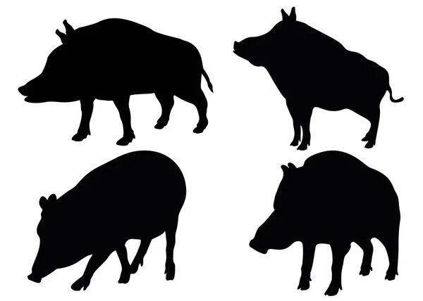 Wild Boars Set — Stock Vector