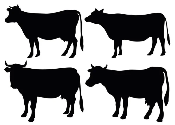 Vacas Lecheras Set — Archivo Imágenes Vectoriales