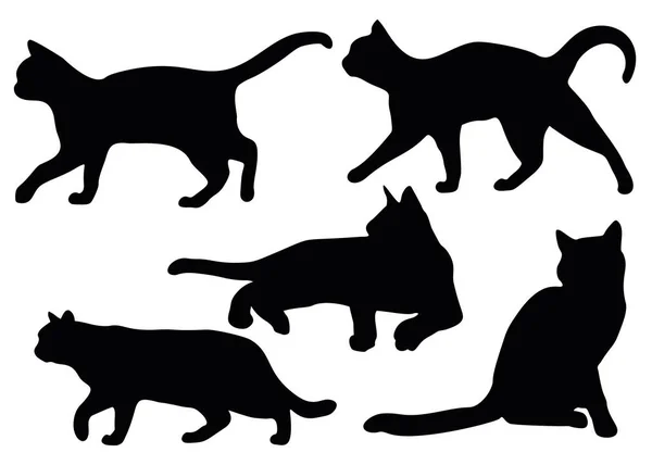 Cats Set — Stock Vector