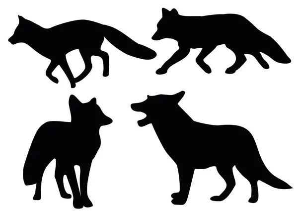 狐狸在片场 野生森林动物 — 图库矢量图片