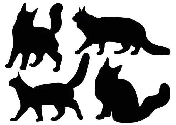 Maine Coon Cats Set — Stock Vector