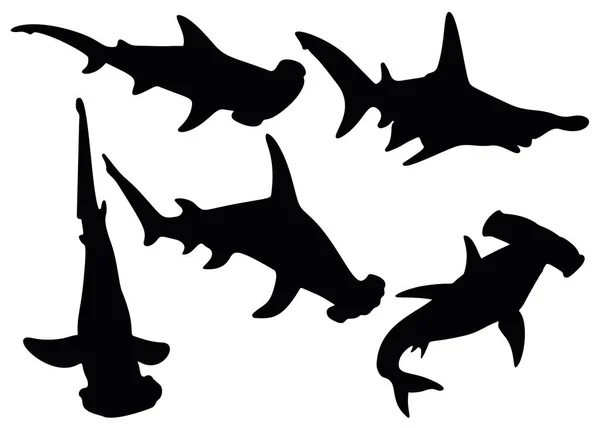 Tiburones Martillo Set Peces Depredadores — Archivo Imágenes Vectoriales