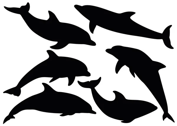 Delfinek Különböző Pózokban Vektorkép — Stock Vector