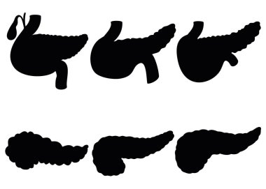 Bir set içinde pankreas.