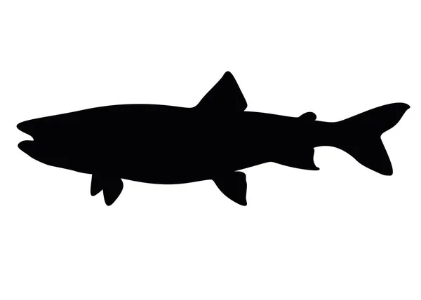 Große Lachsfische Vektorbild — Stockvektor