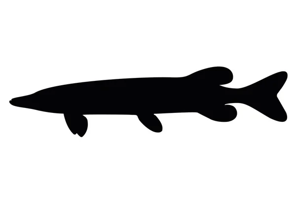 Large Predatory Pike Vector Image — Stock Vector