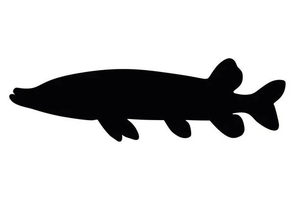 Big Pike Fishing Vector Image — Stock Vector