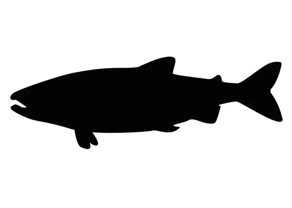 ピンクサーモンの魚 ベクトル画像 — ストックベクタ