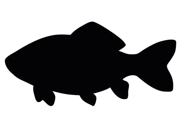 Big Crucian Swimming Vector Image — Stock Vector