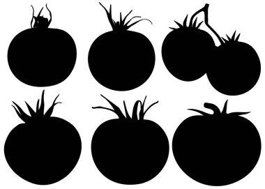 Domatesler basittir ve sette bir dalın üzerinde.