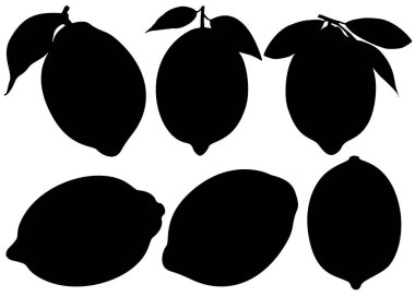 Basit limonlar ve yapraklı limonlar..