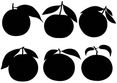 Yapraklı mandalinalar..