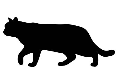 Kara kedi sinsice yaklaşıyor. Vektör resmi.