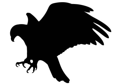 Kartal saldırıda vahşidir. Vektör resmi.