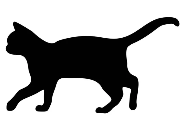 Kara kedi yürüyor. Vektör resmi.