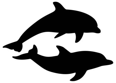 Sette deniz yunusları var. Yunus atlayışı.