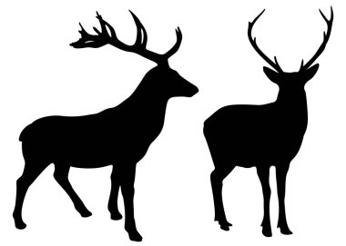 Sette vahşi bir geyik var. Vektör resmi.