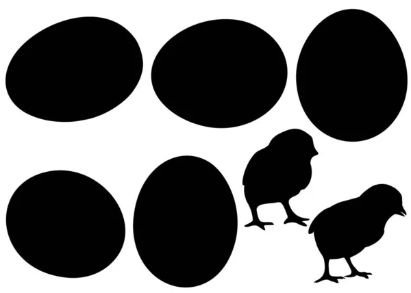 Куриные Яйца Маленький Цыпленок Наборе Векторное Изображение — стоковый вектор