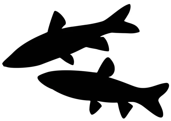 セット内の草鯉魚 ベクトル画像 — ストックベクタ