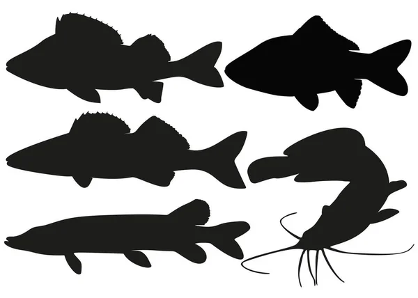 Ensemble Poissons Rivière Prédateurs Paisibles Image Vectorielle — Image vectorielle