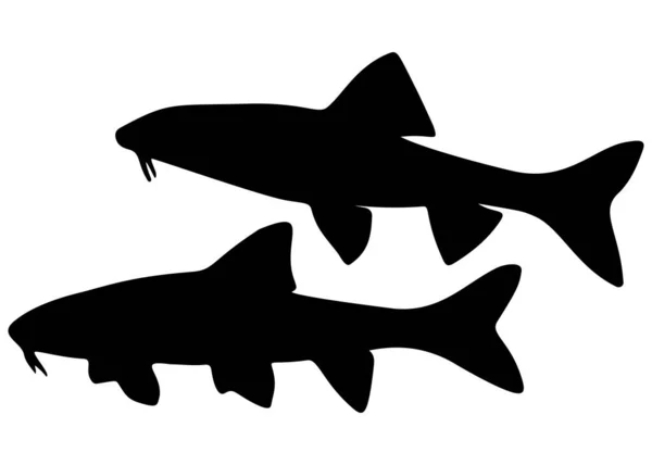 Gudgeon是一条在布景中游泳的鱼 矢量图像 — 图库矢量图片