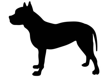 Büyük pitbull. Vektör resmi.