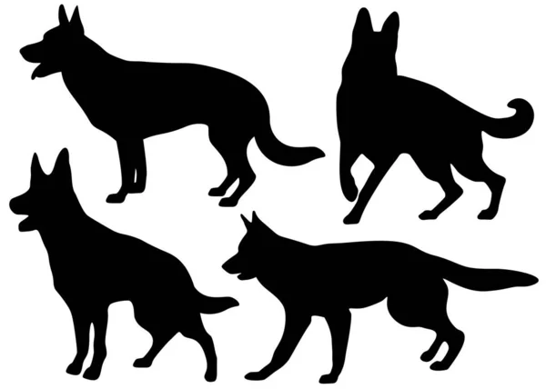 Shepherd Honden Set Vectorafbeelding — Stockvector