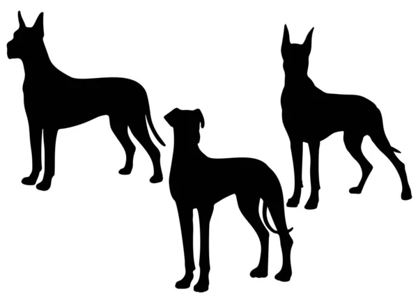 Geweldige Deense Hond Set Vectorafbeelding — Stockvector