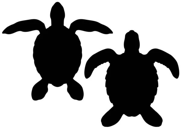 Turtles Set Vector Image — Stock Vector