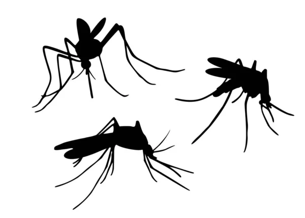 Myggor Uppsättningen Insektspest Vektorbild — Stock vektor