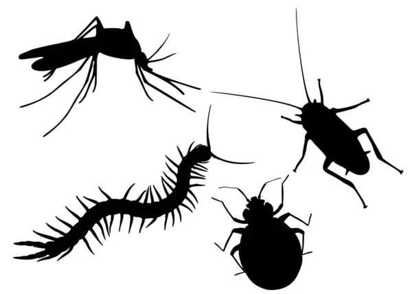 Kackerlacka Tusenfoting Mygga Insekt Setet Vektorbild — Stock vektor