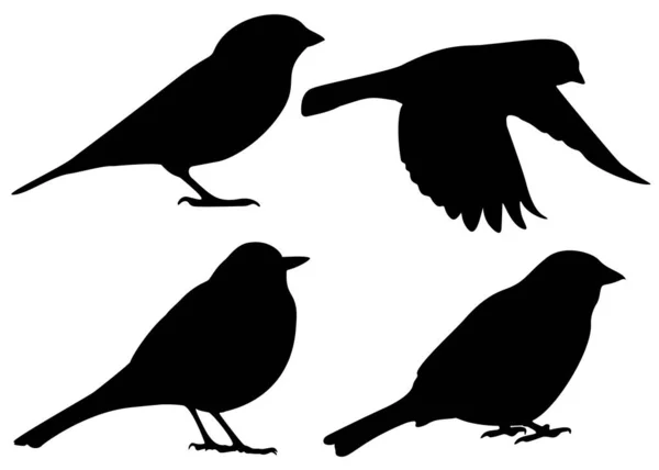 Piccoli Uccelli Sul Set Immagine Vettoriale — Vettoriale Stock