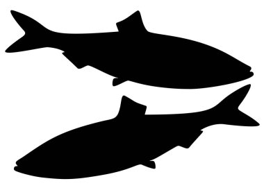 Büyük ringa balığı. Vektör resmi.