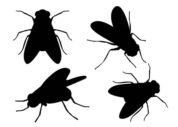 Flyg Insekt Ingår Vektorbild — Stock vektor